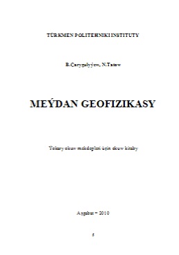 Meýdan geofizikasy